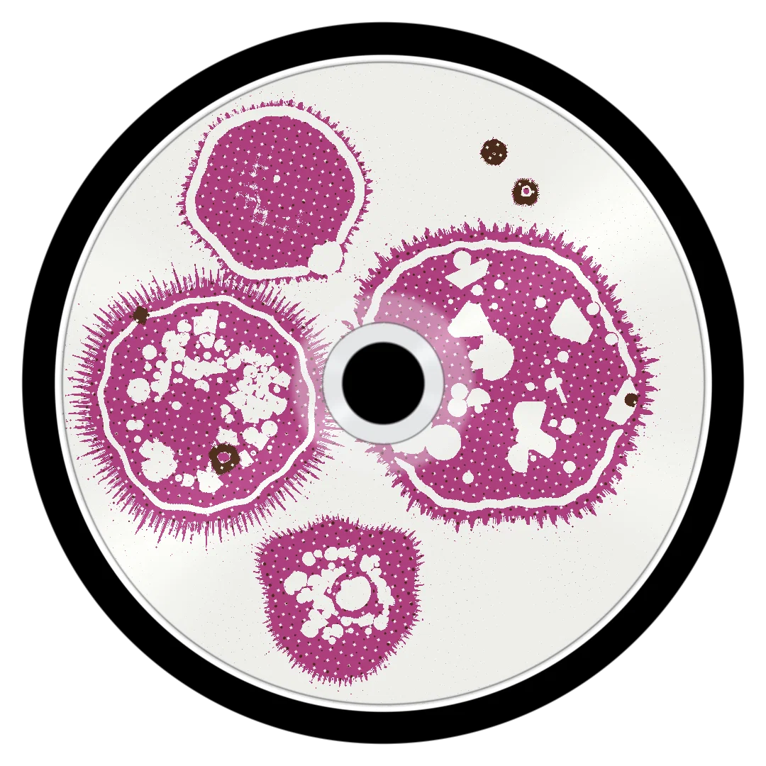 PROJECT cover