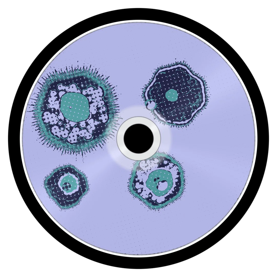 PUSH IT cover