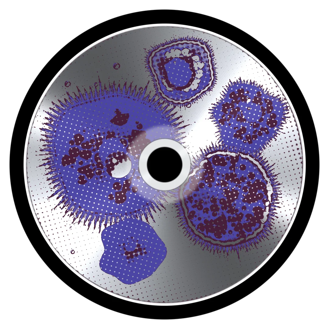 RODEO II cover