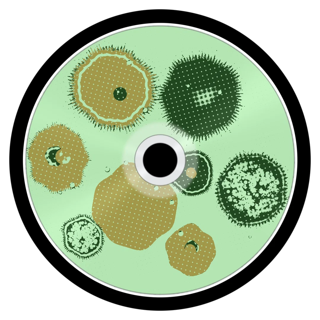RUN UP cover