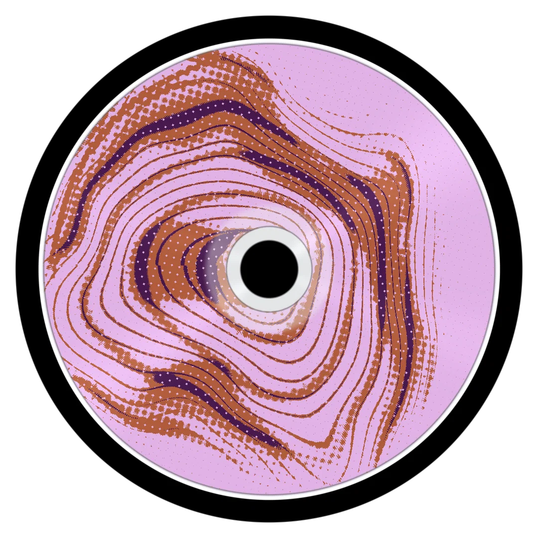 SALT LAKE cover
