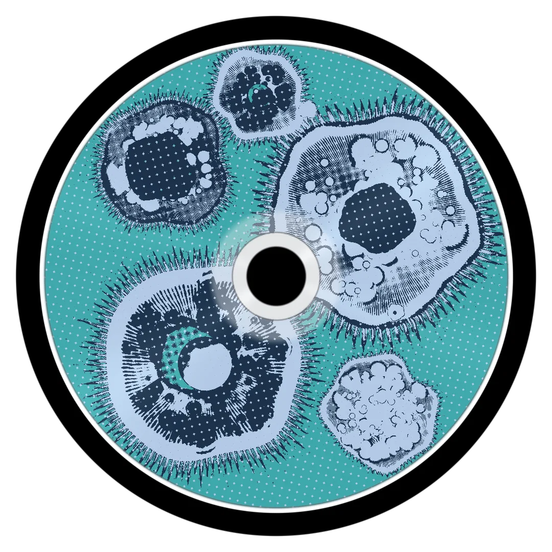 SALT WATER cover