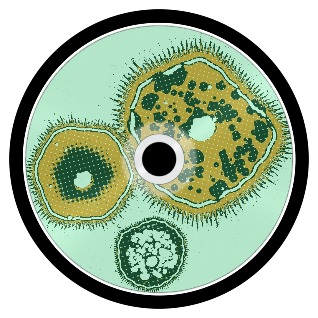 SEASONS cover