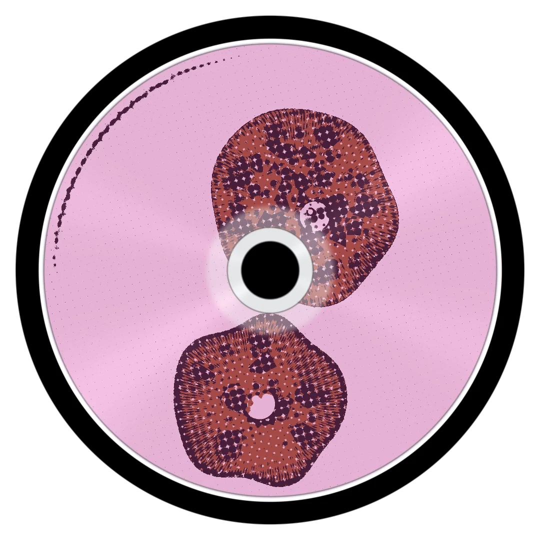 SHOW cover