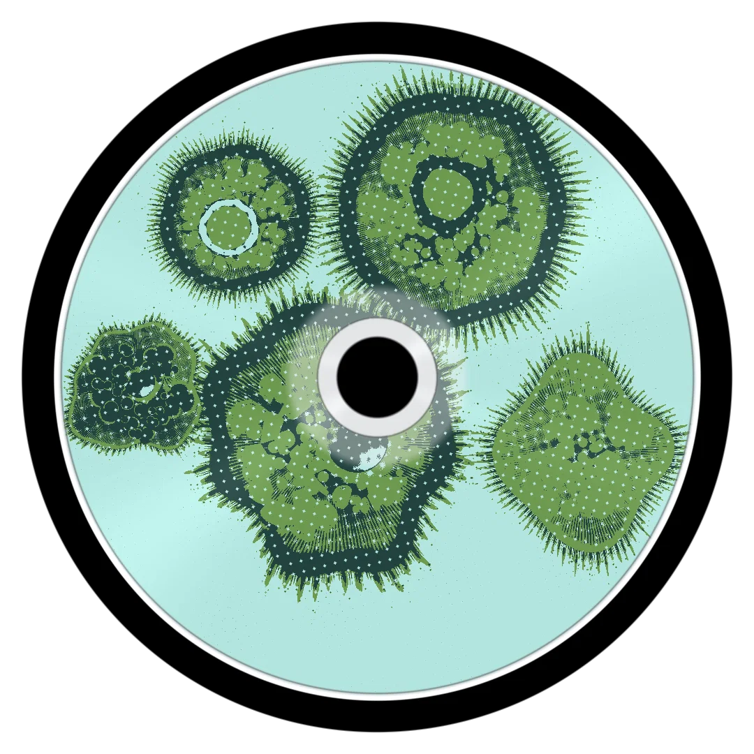 SNOW II cover
