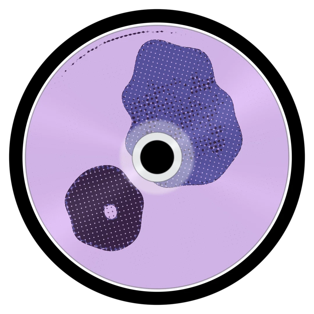 SOMEONE ELSE cover