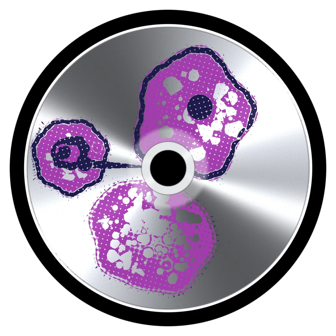 SONUS cover