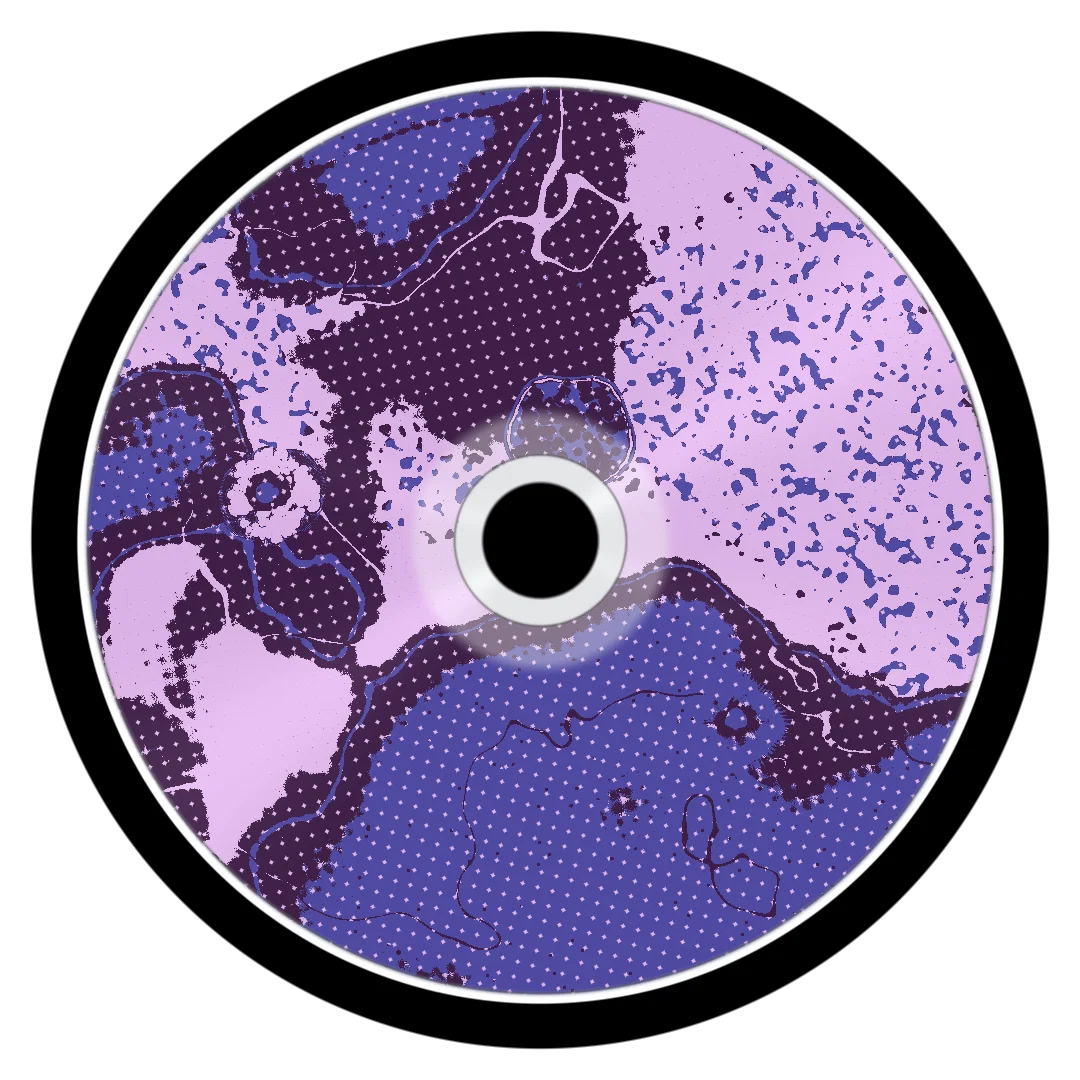 STARBURST cover