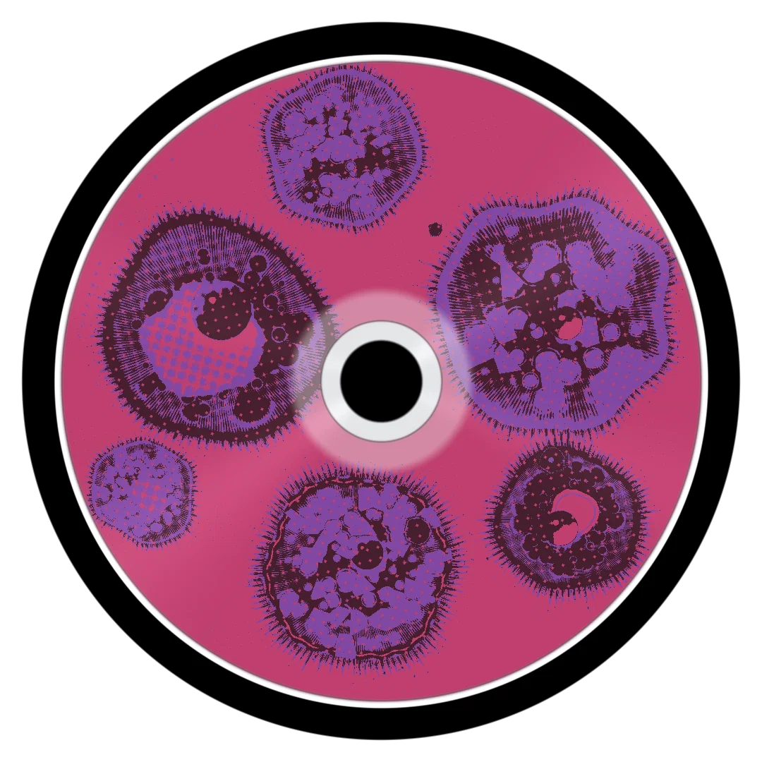 STRATOS cover
