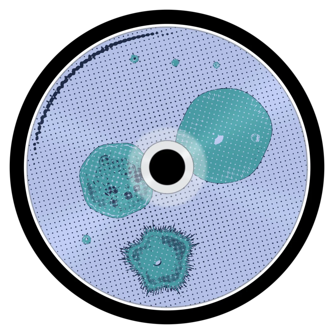 STREAM cover