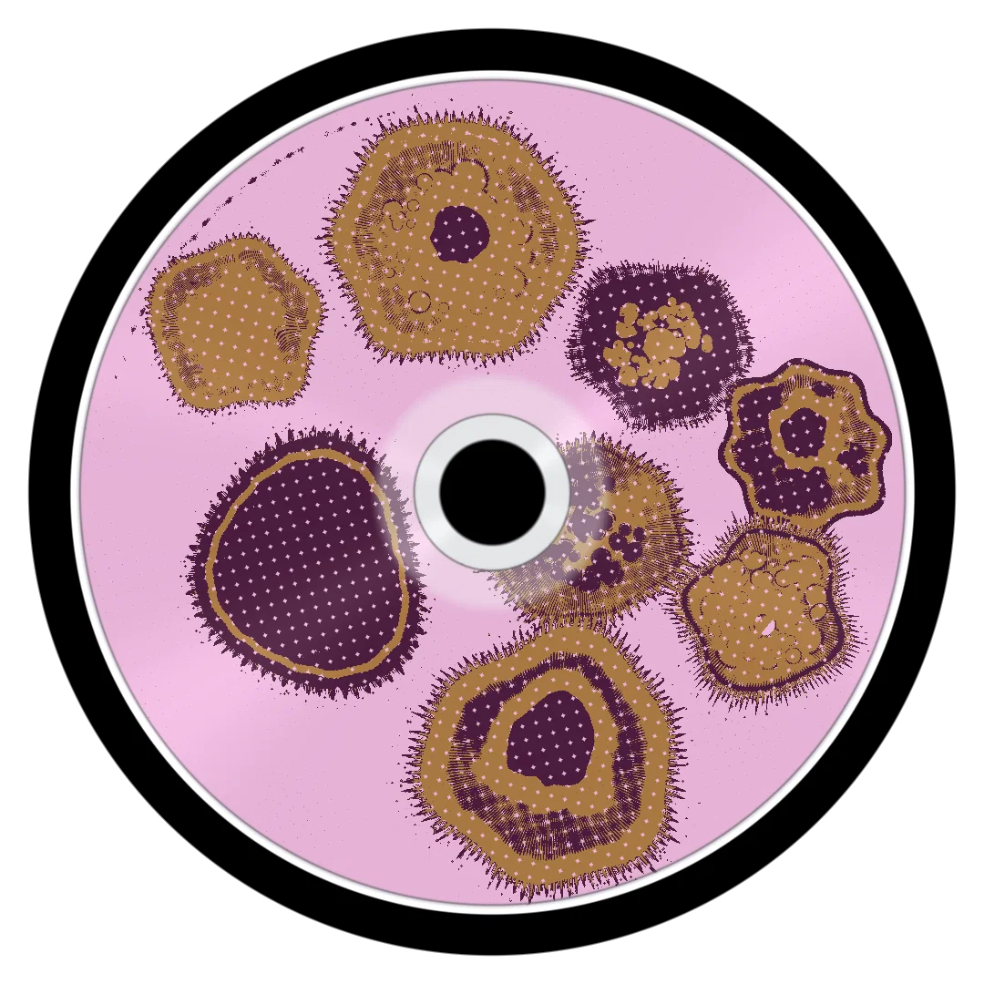 BLUE cover