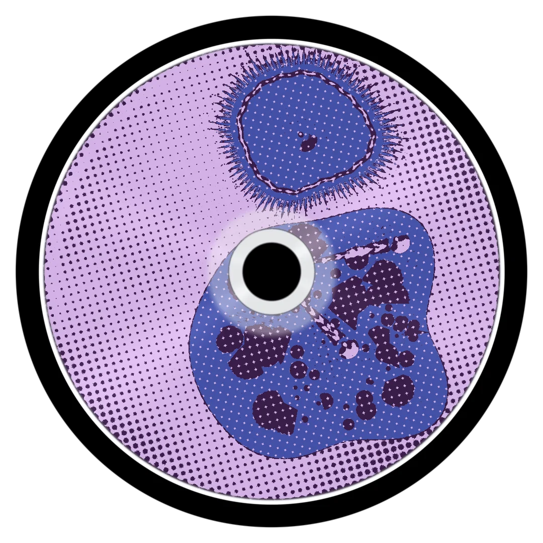 BLUERUG cover