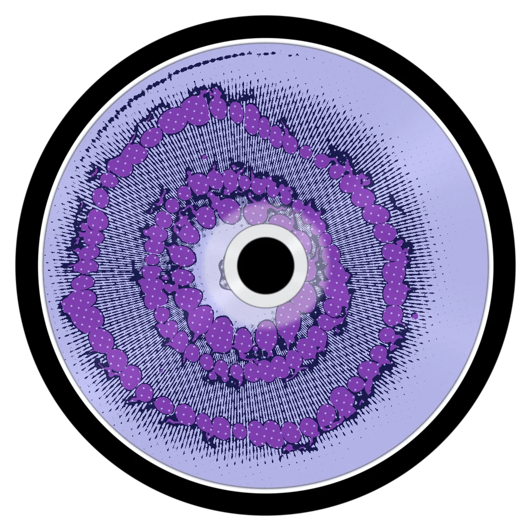 SWARM cover