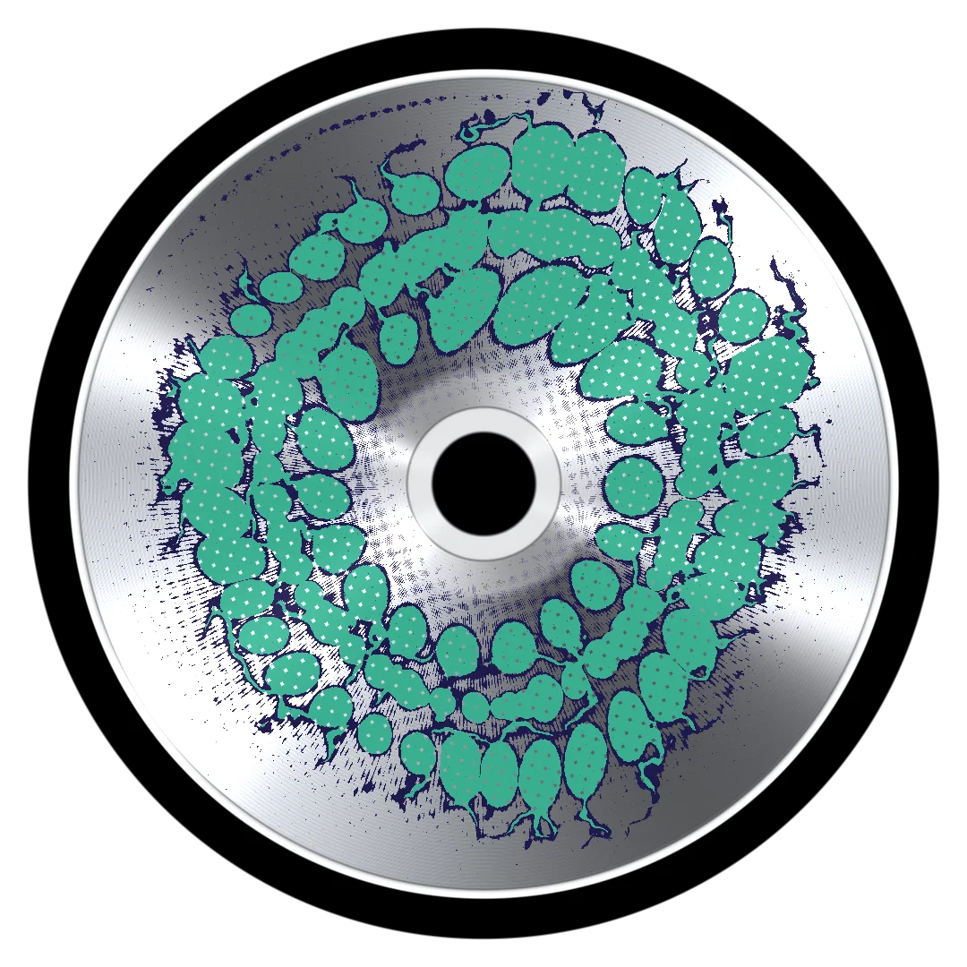 VALET II cover