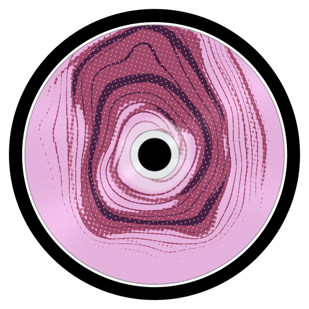 VERONICA II cover