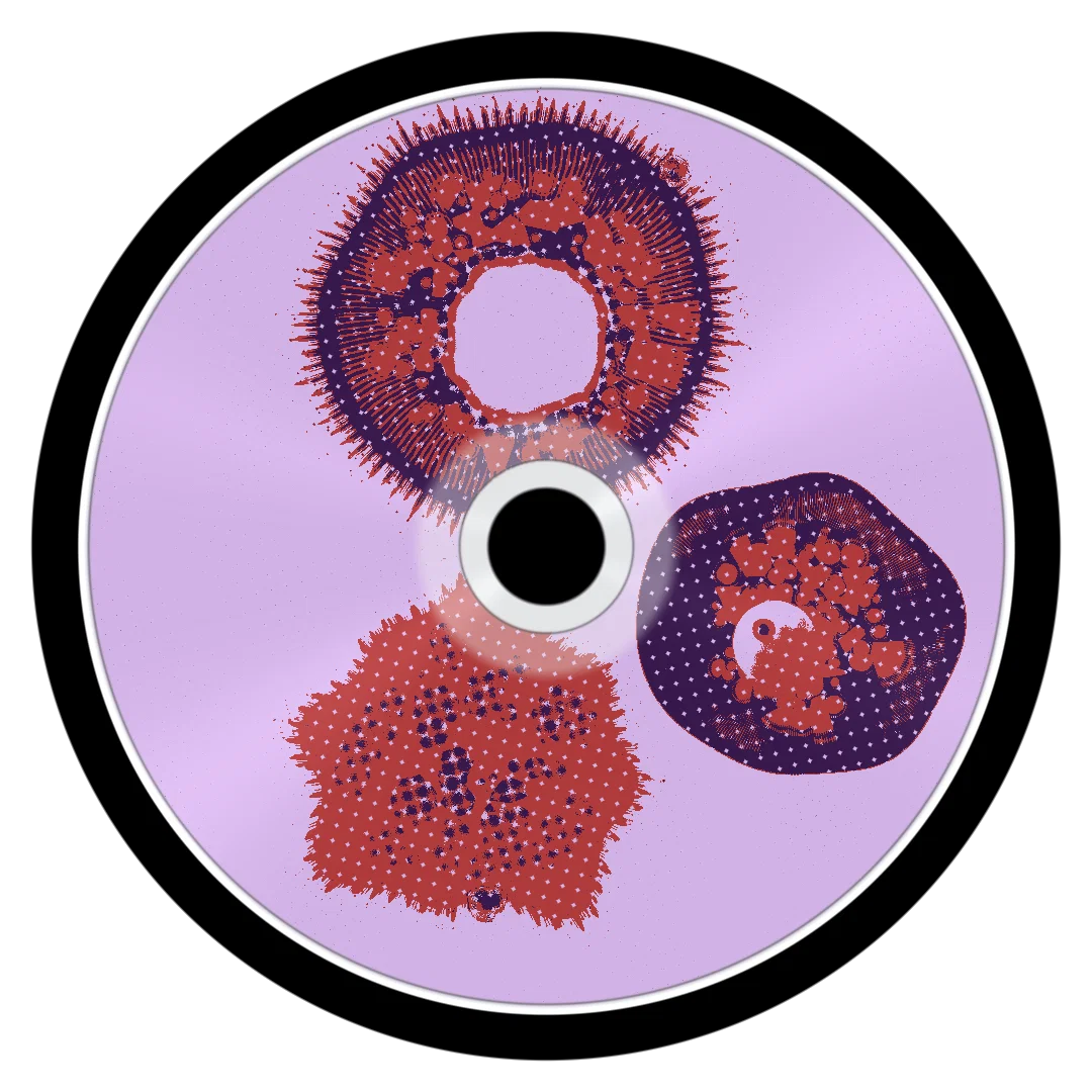 CANTU cover