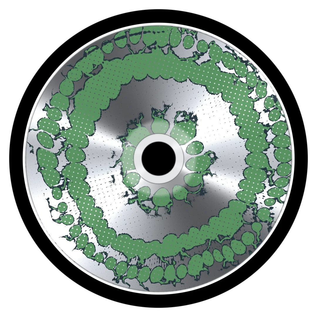 YOTE cover