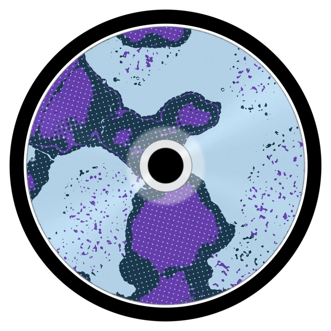 PROSPEROUS cover