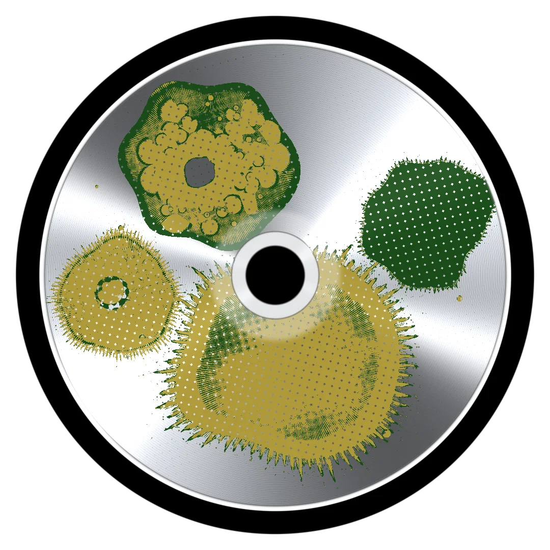 CONCEPT cover