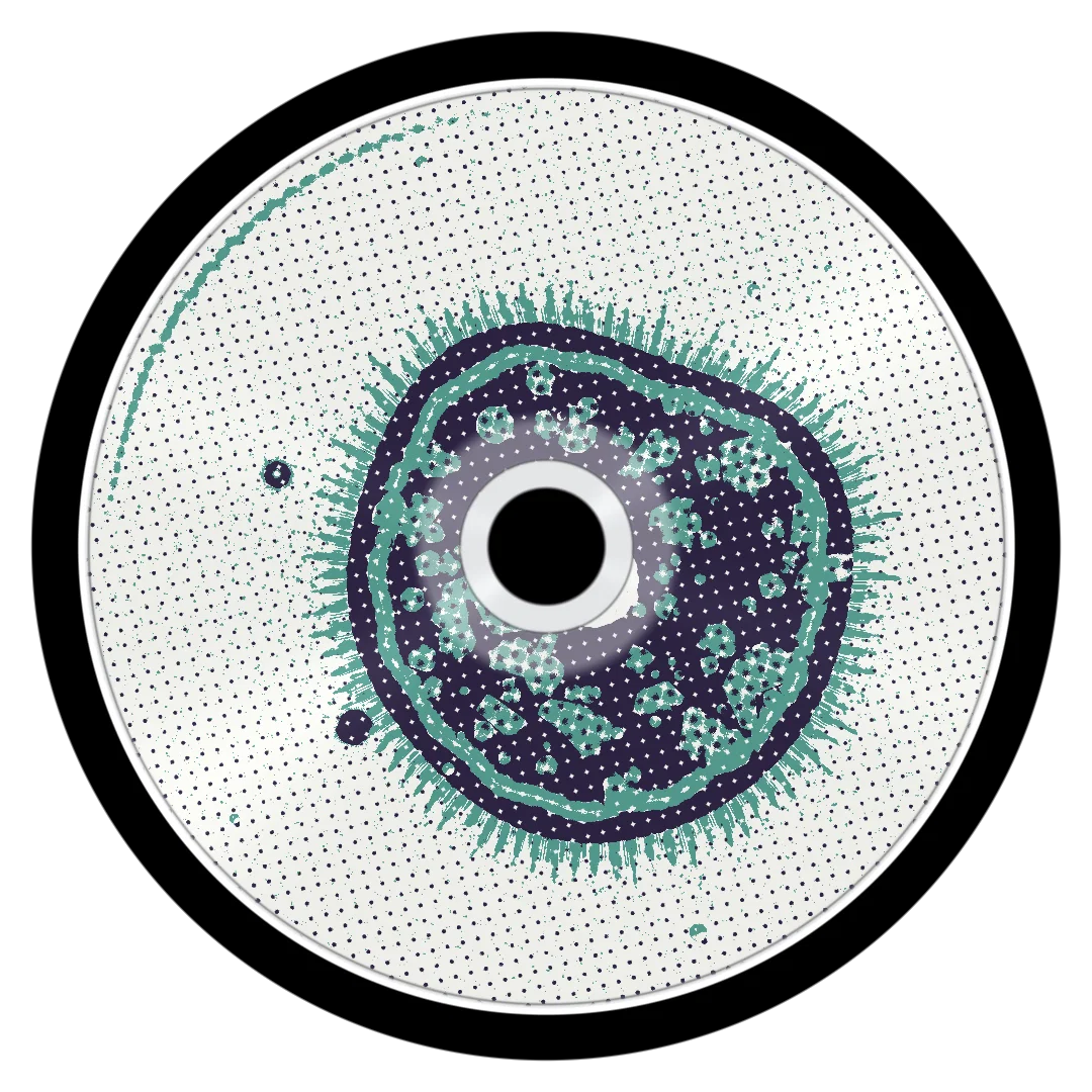 XERJOFF cover
