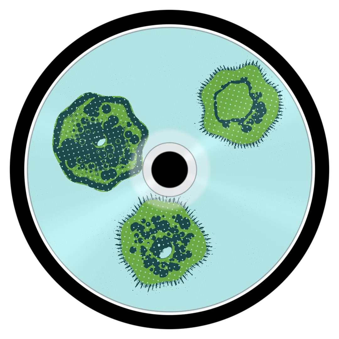 HAWAII cover