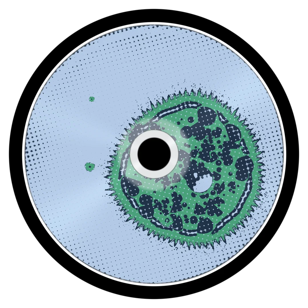 HYBRID cover