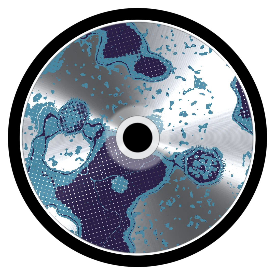 IFOUND cover