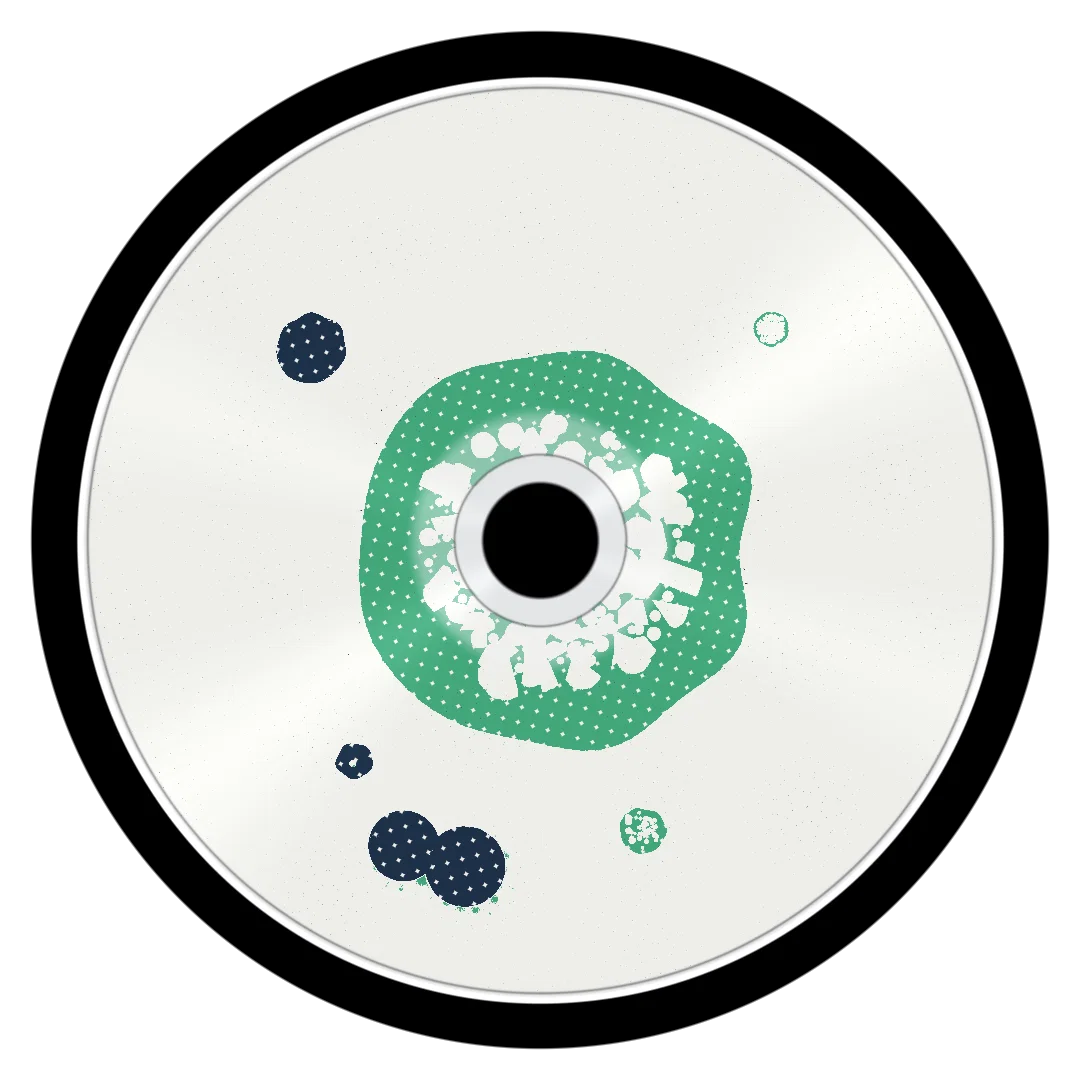 IRVINE cover