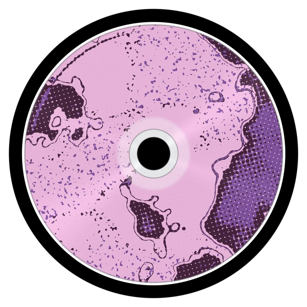 JAMBA cover