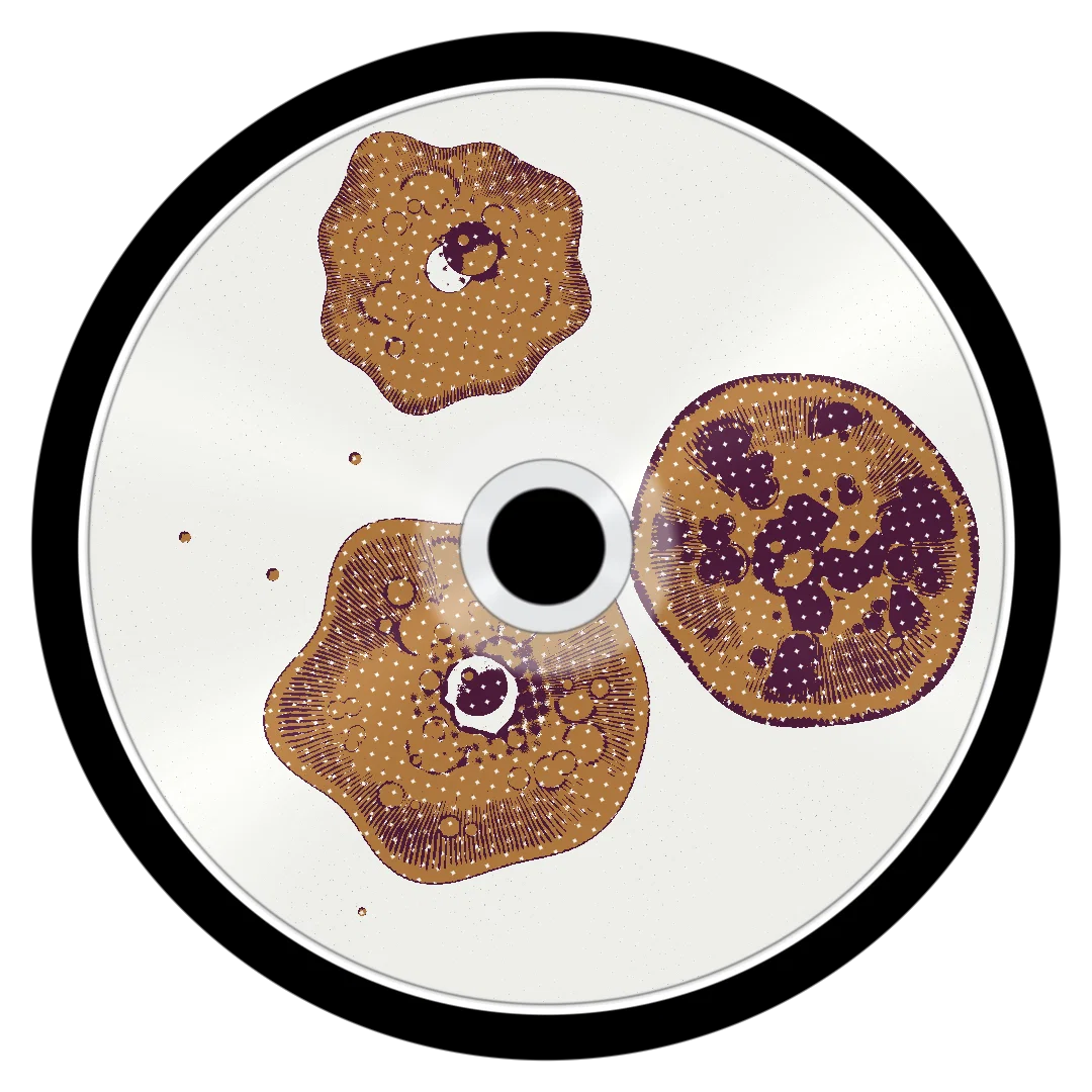 JBL cover