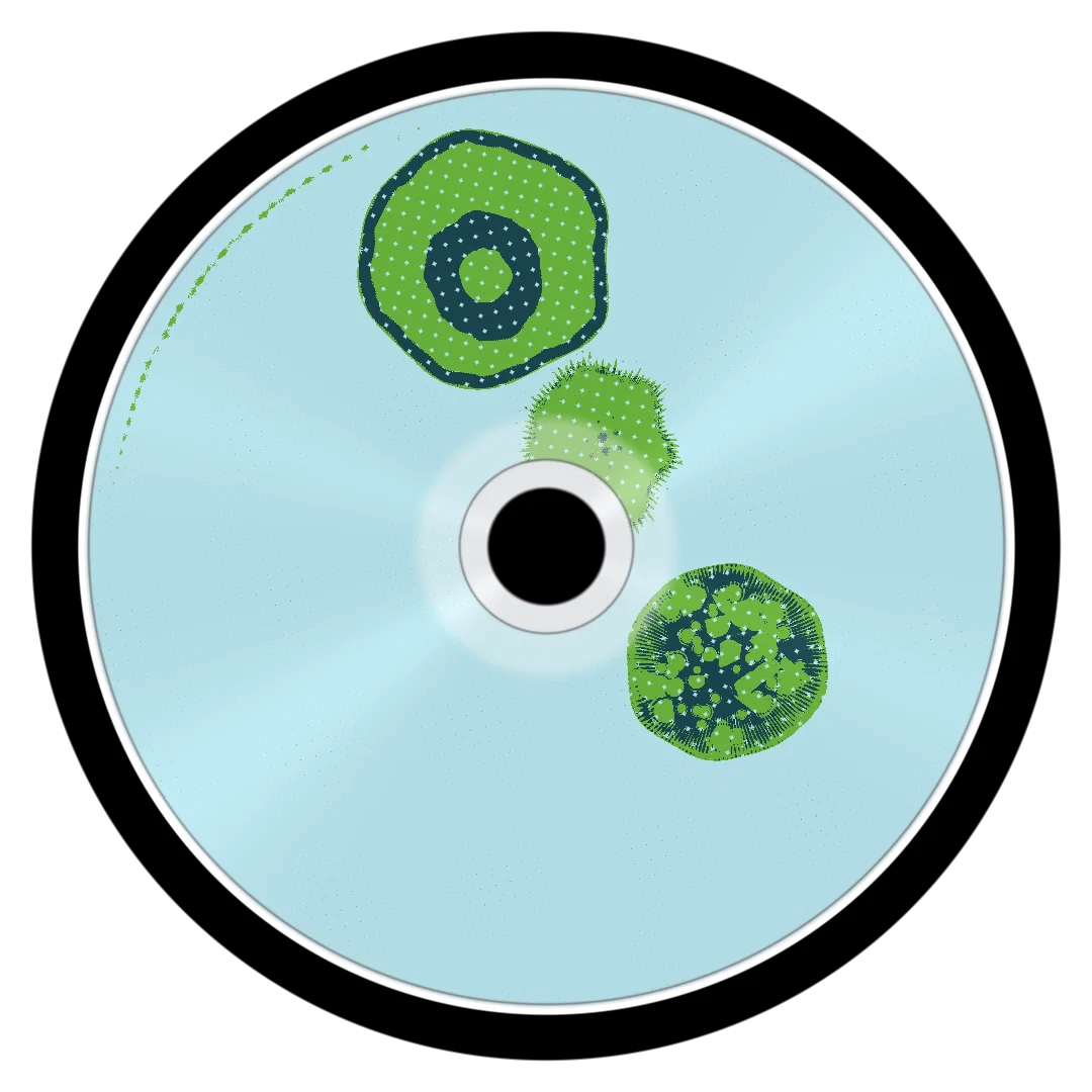 JELLY cover