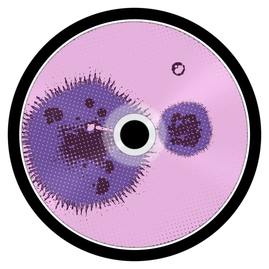 KASHTON cover