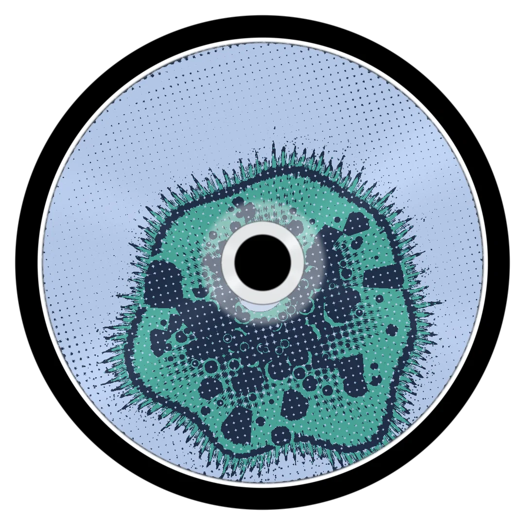 KILLS cover