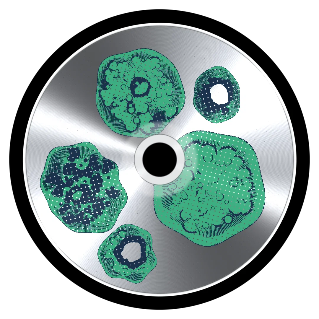 KNAW cover