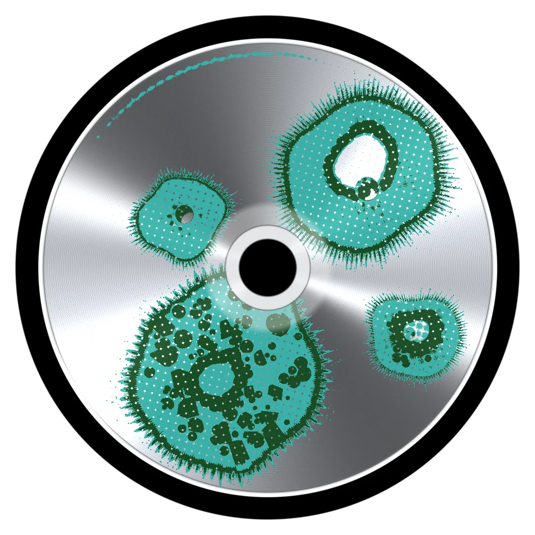 KOMODO cover
