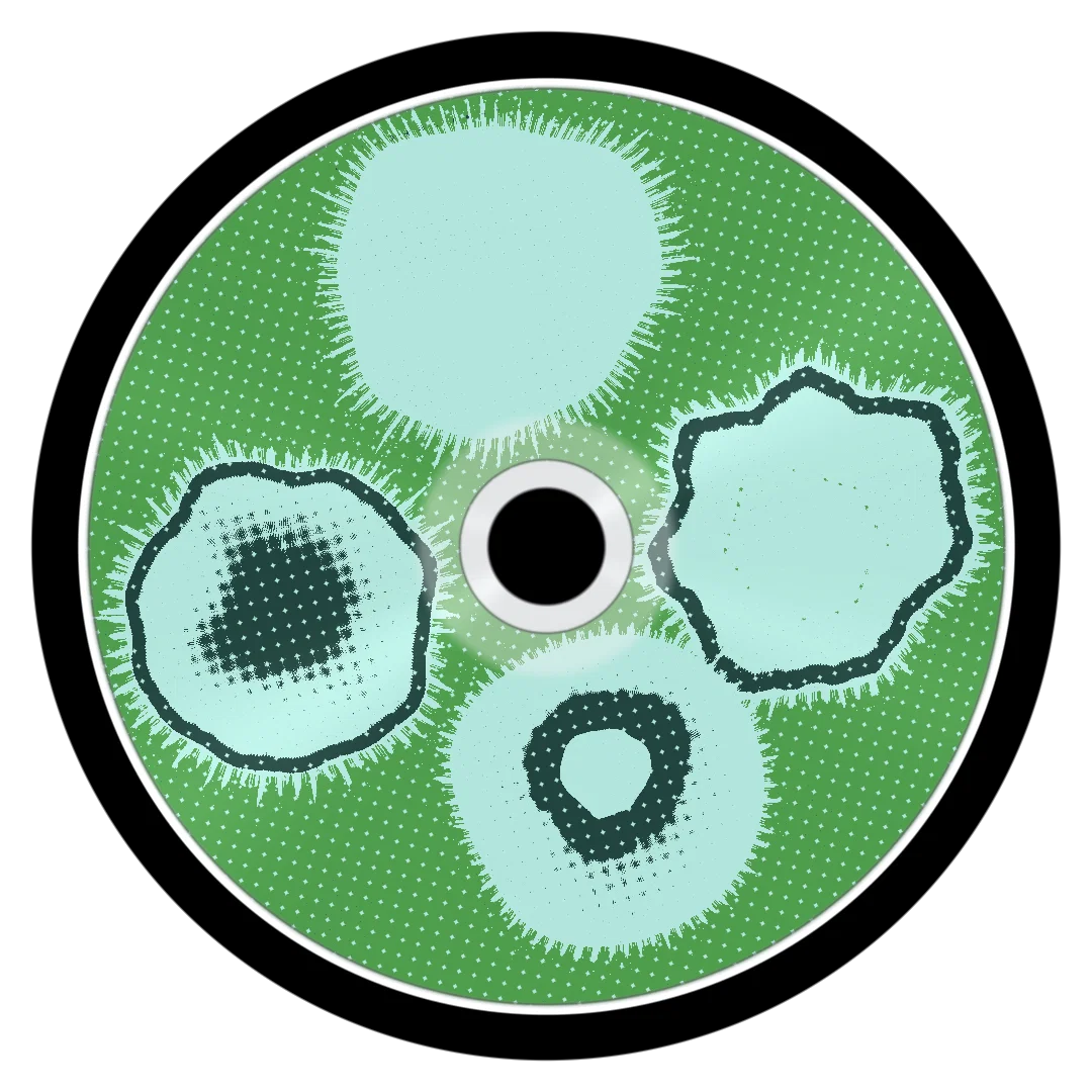 KYOTO cover