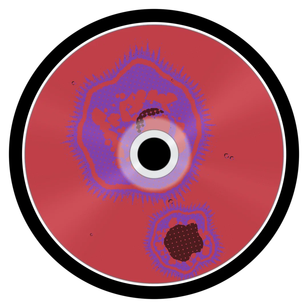 LAMBERT cover