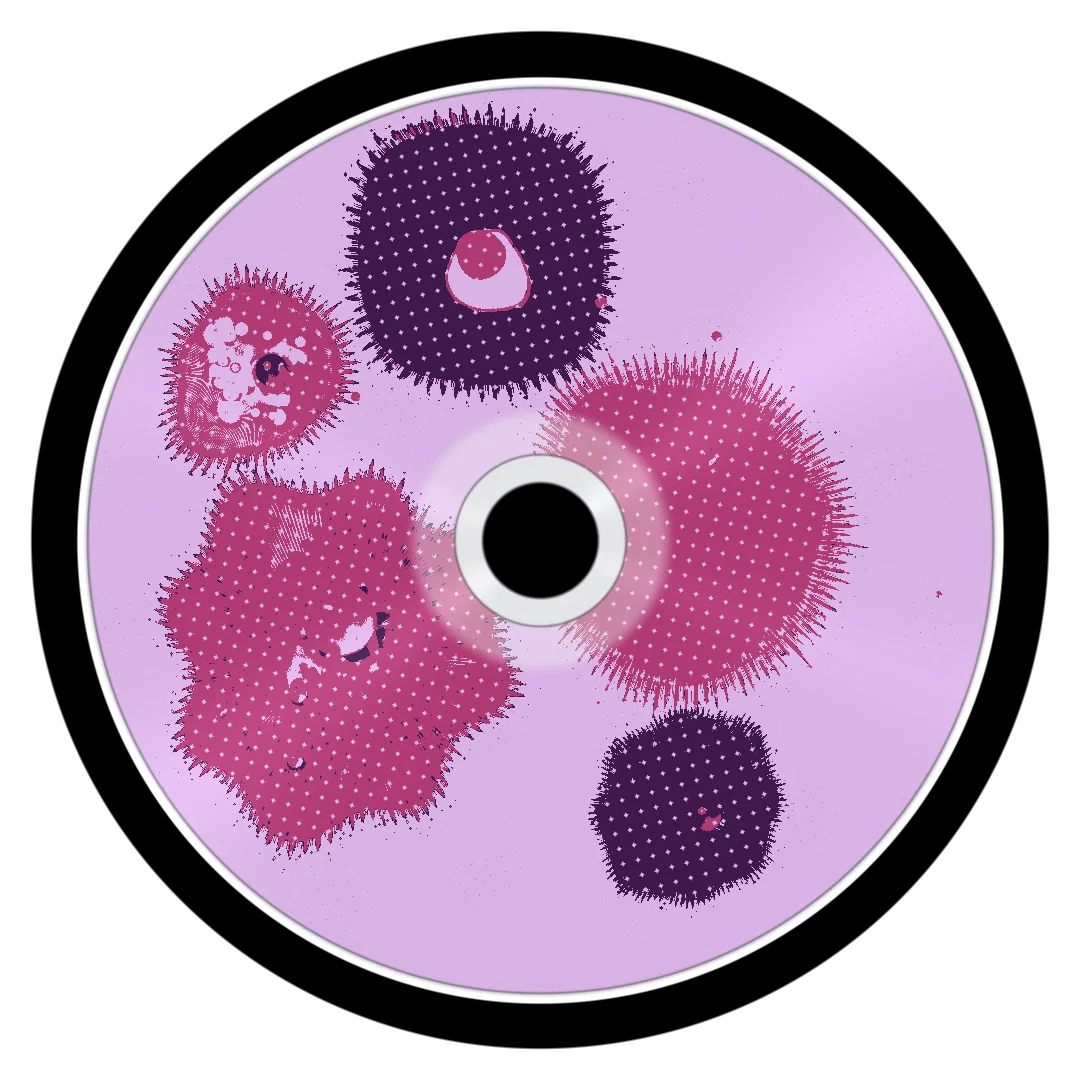 STATIC BLOOM cover