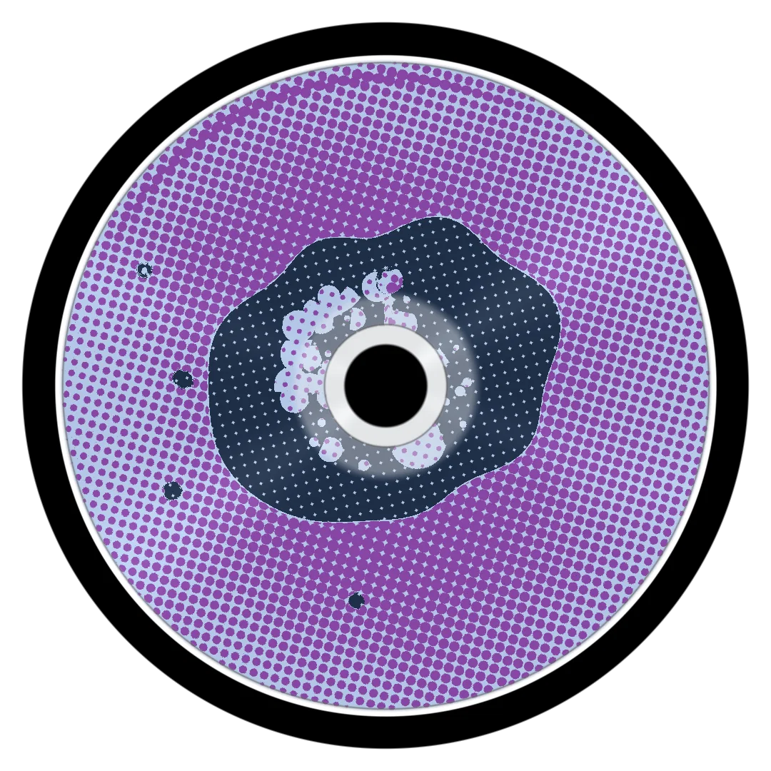 LEROY cover