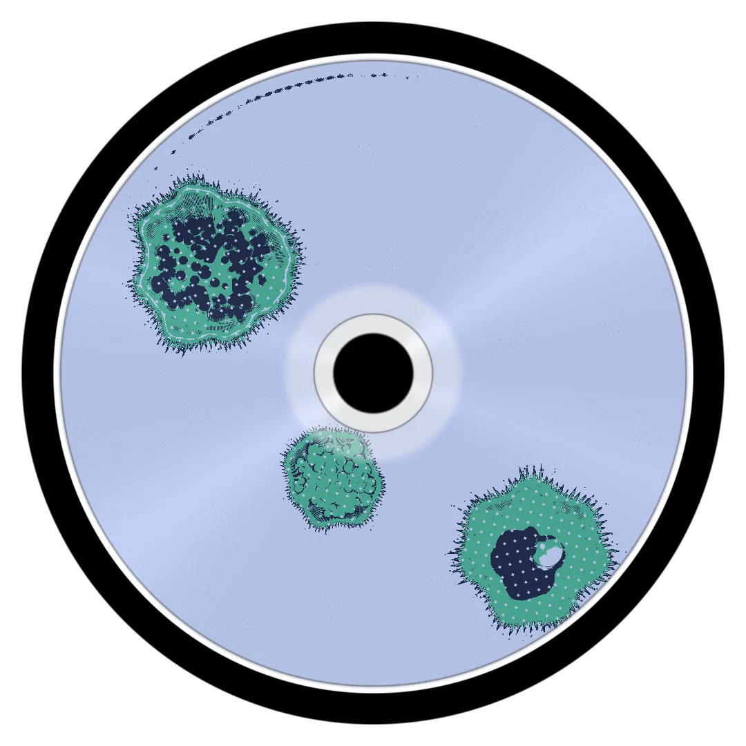 LIMIT cover