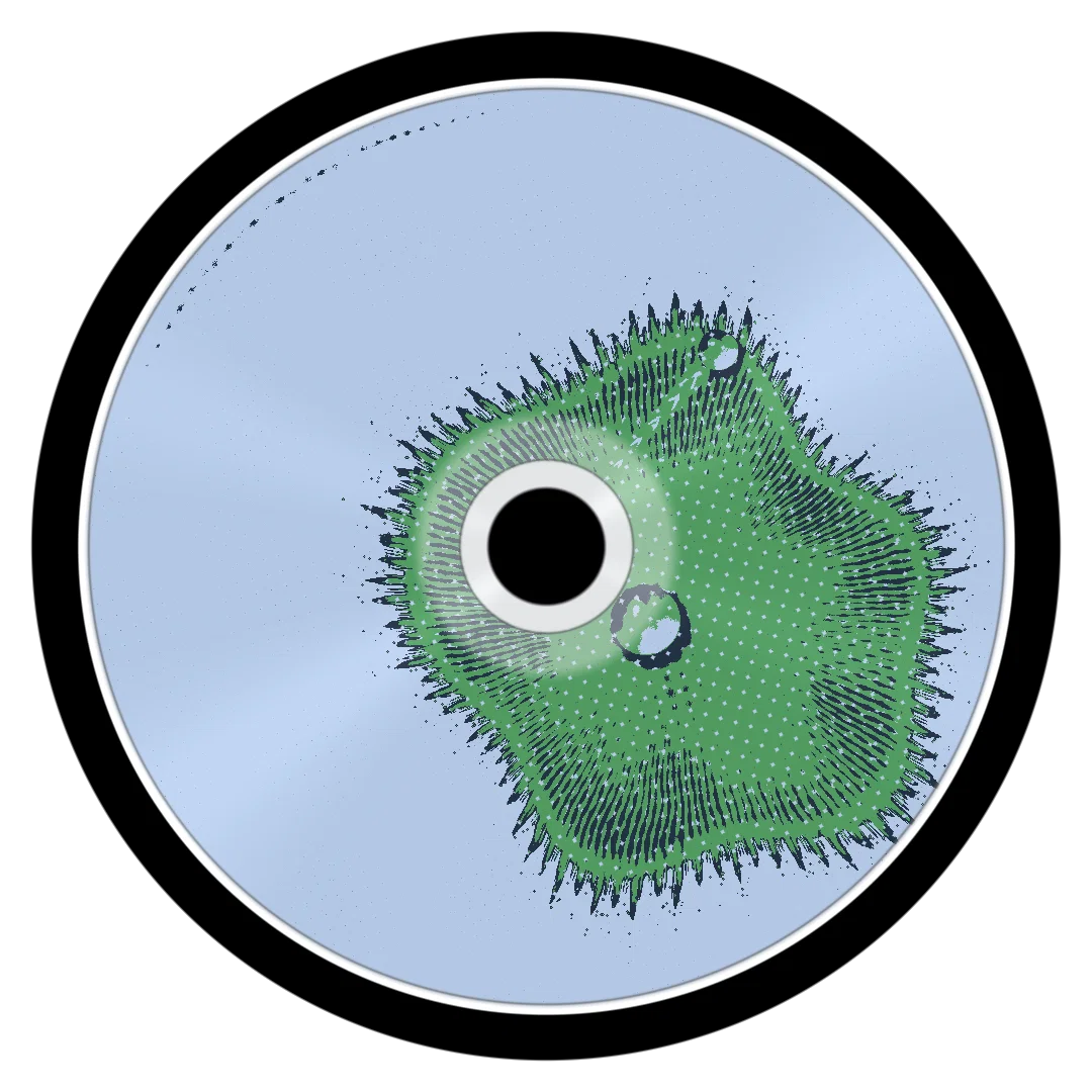 LOAD cover