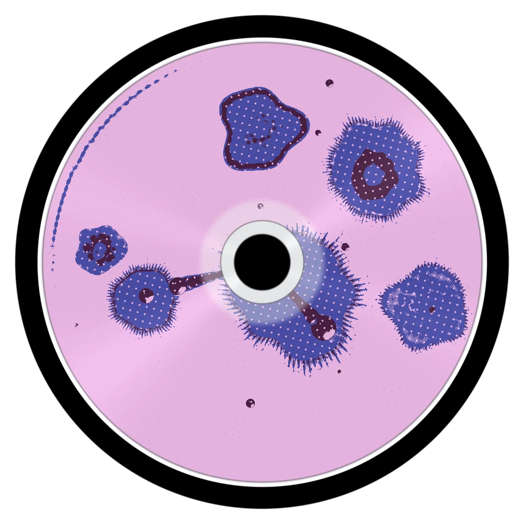 LOOPVSPECTRUM cover