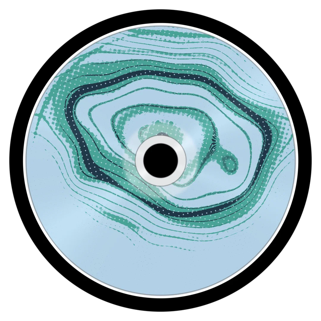 LUNK cover