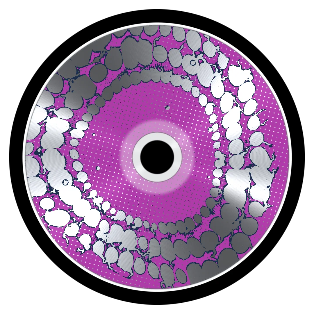 MAGNET cover