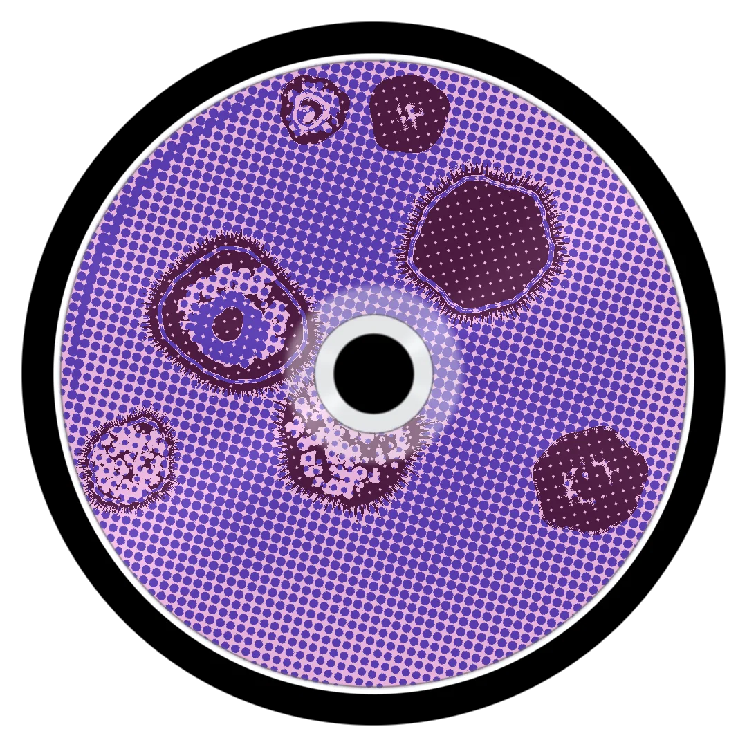 MALIBU cover