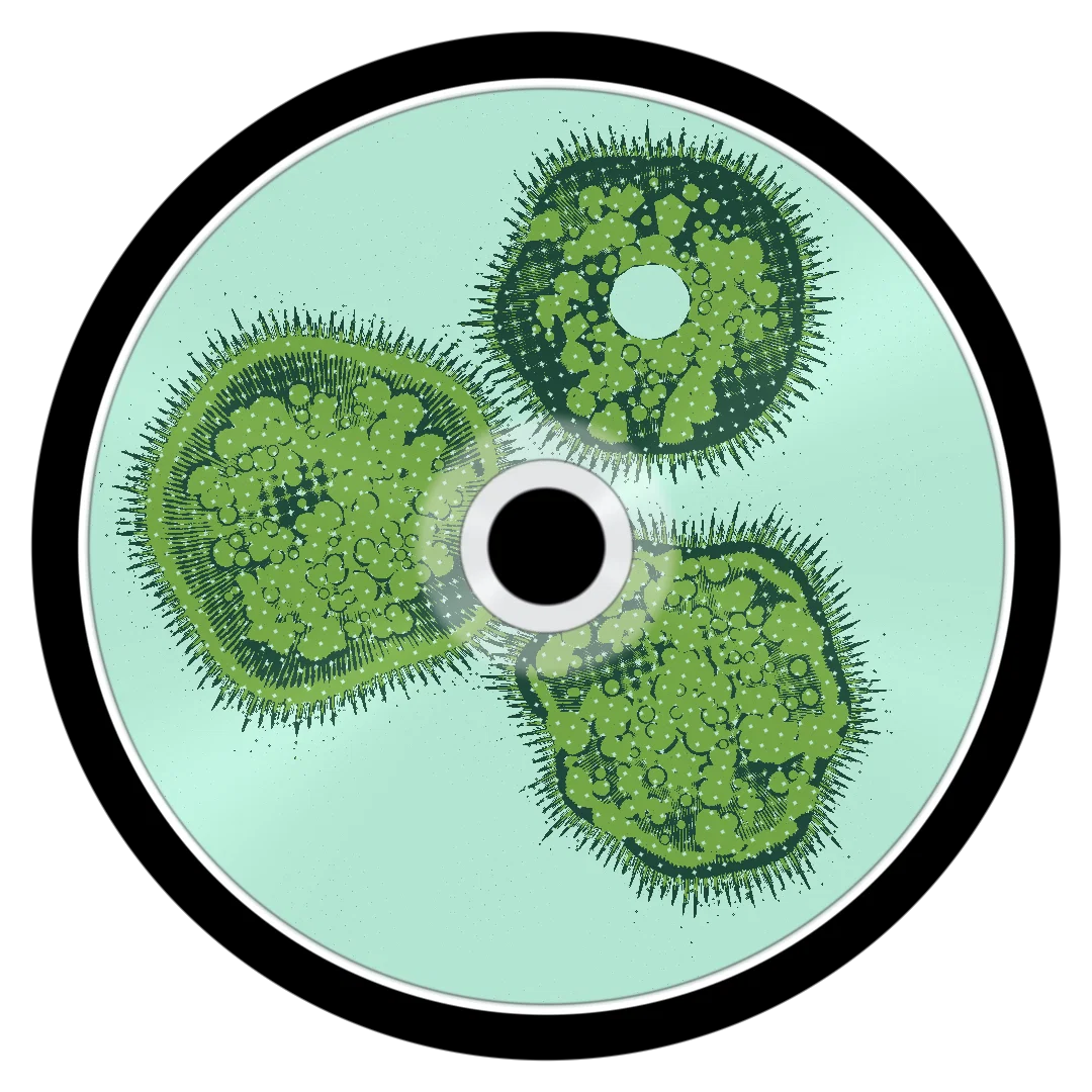 MARCO cover