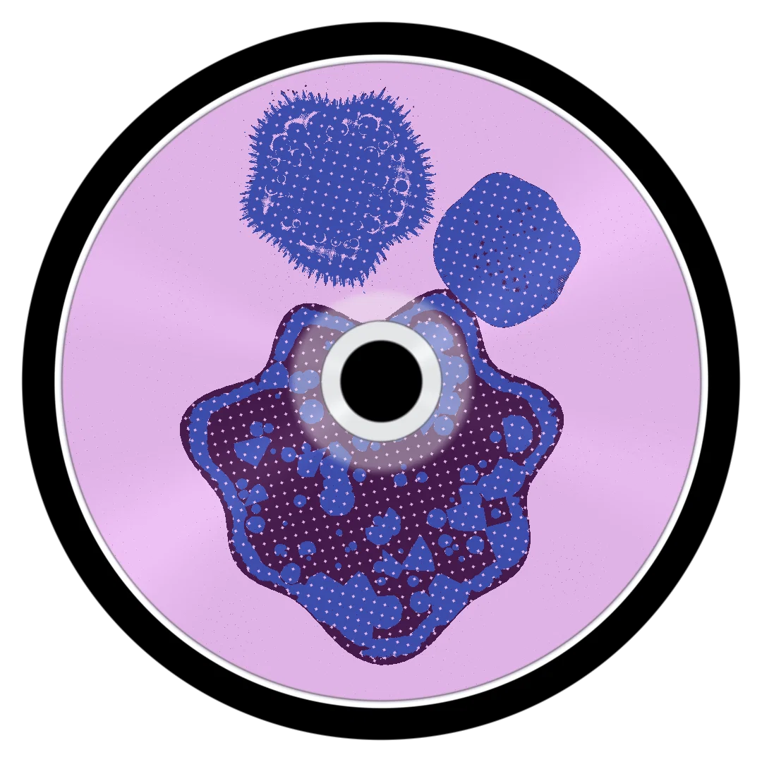 MASH cover