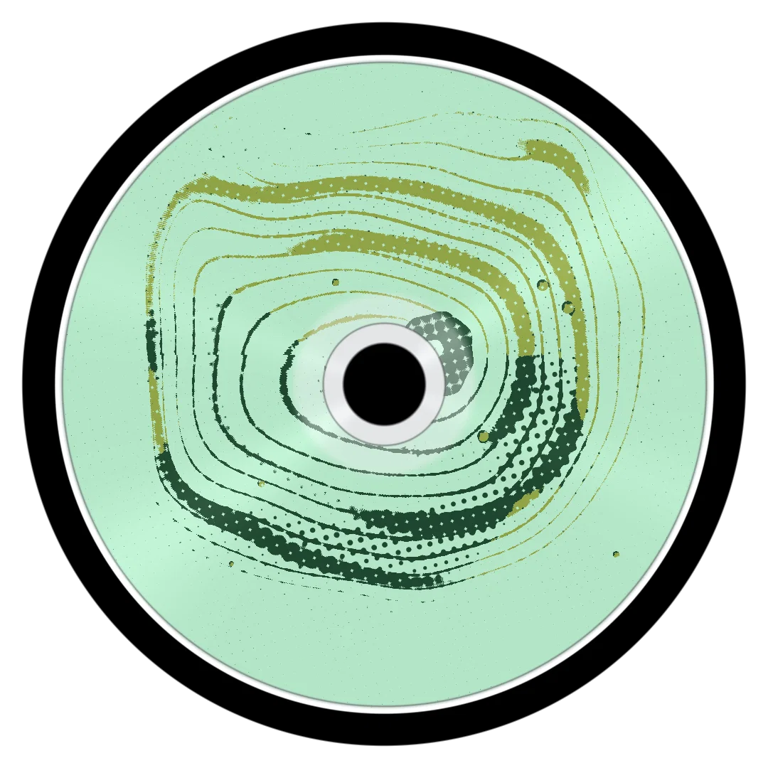 MAVERICK cover