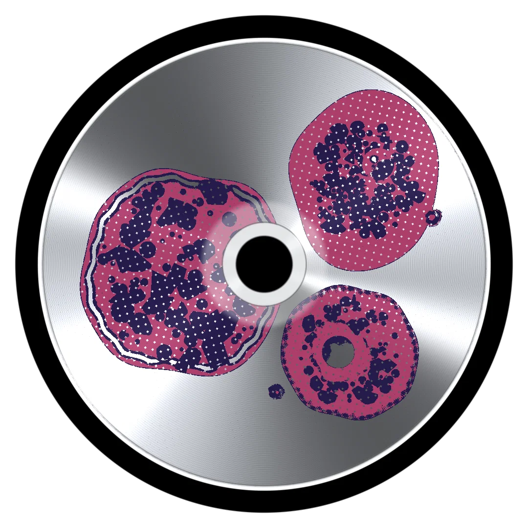 MUCK II cover
