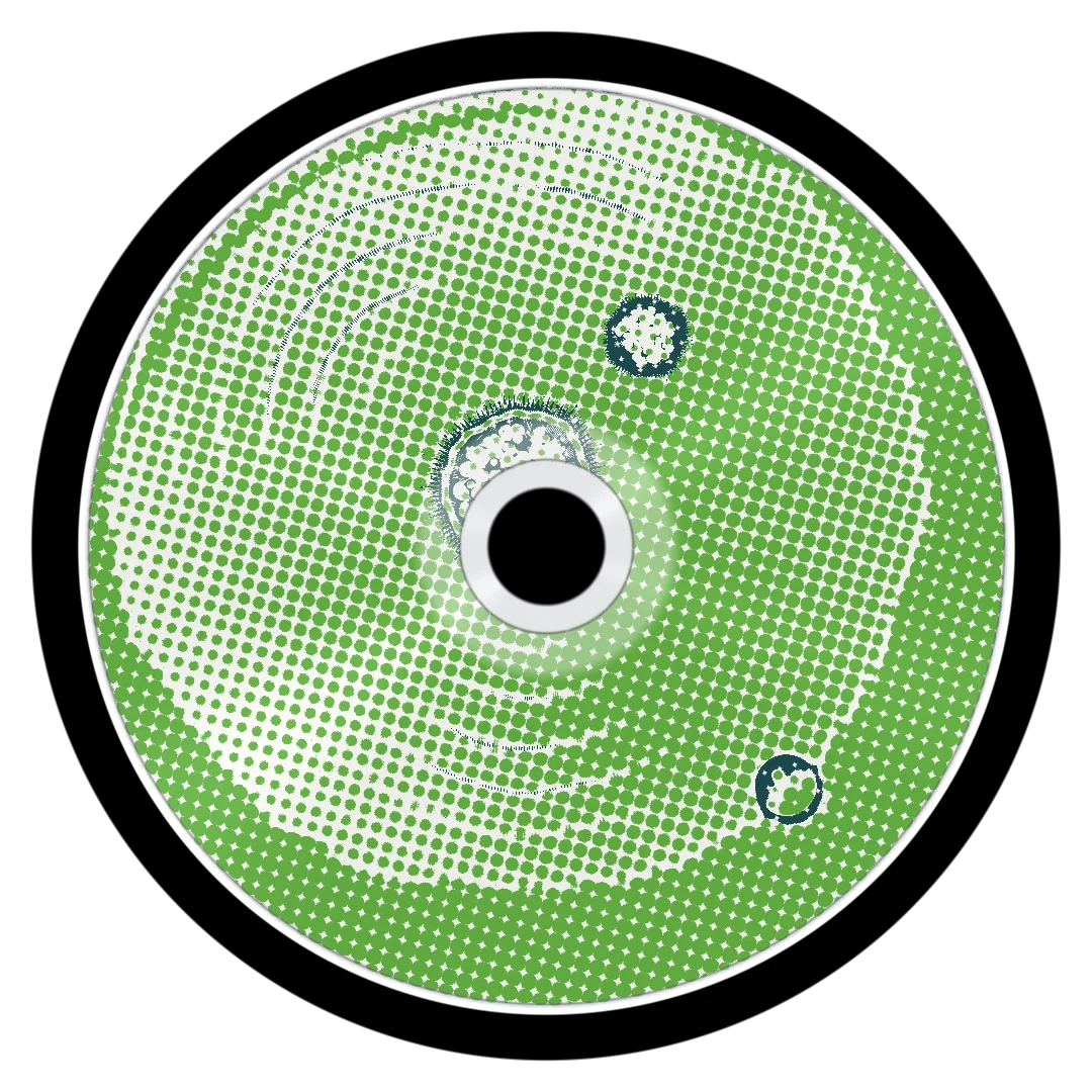 NETWORK cover